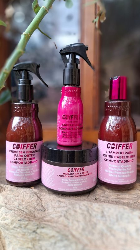 Kit Cliente Cabelos Bem Comportadinhos Coiffer (4 unidades)