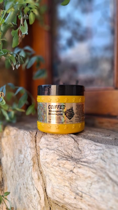 Shampote Blindagem Coiffer 350g